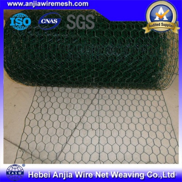 PVC revestido Hexagonal Wire Mesh para galinheiro